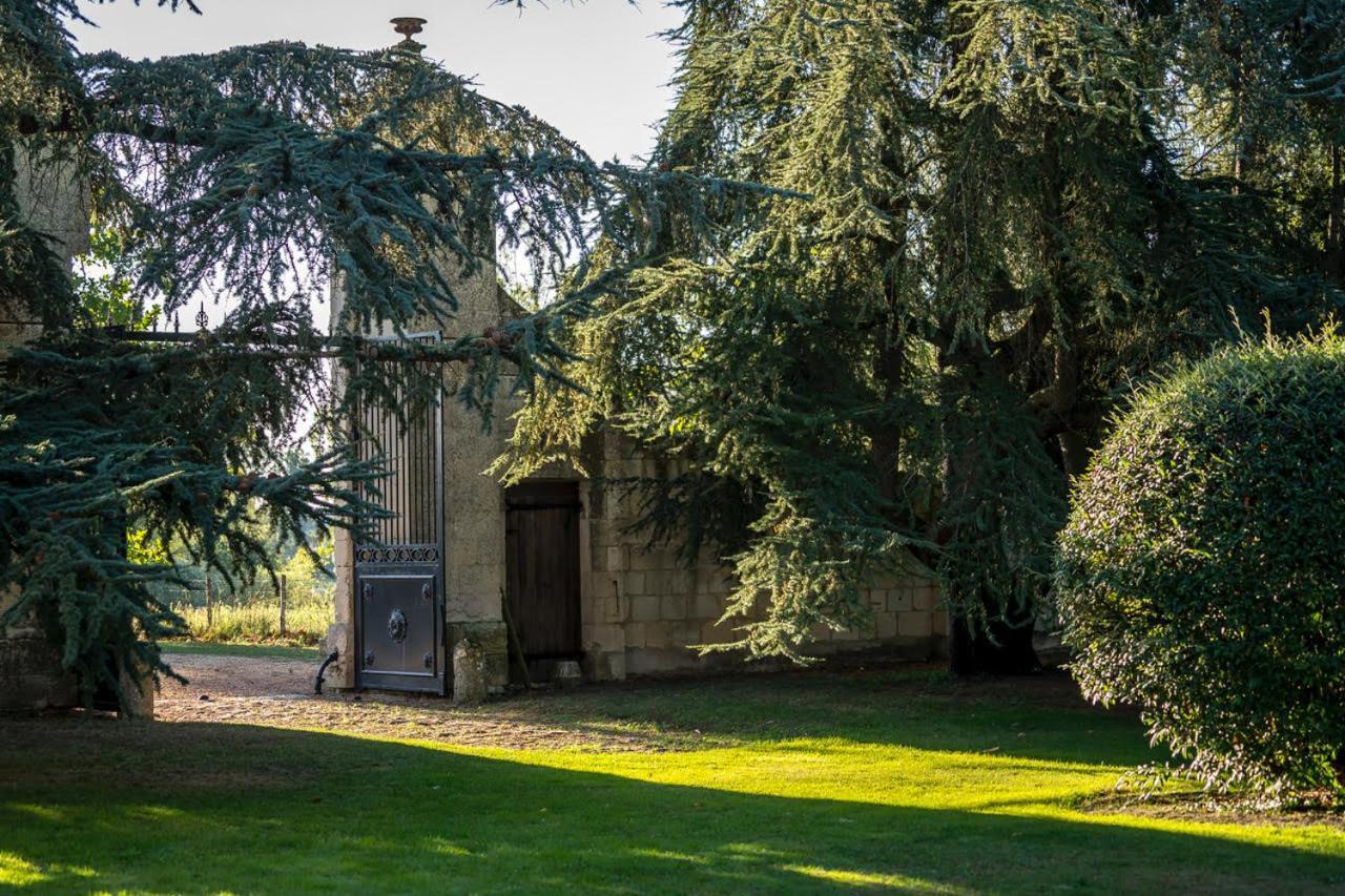Chateau De La Ronde Vivy Bagian luar foto